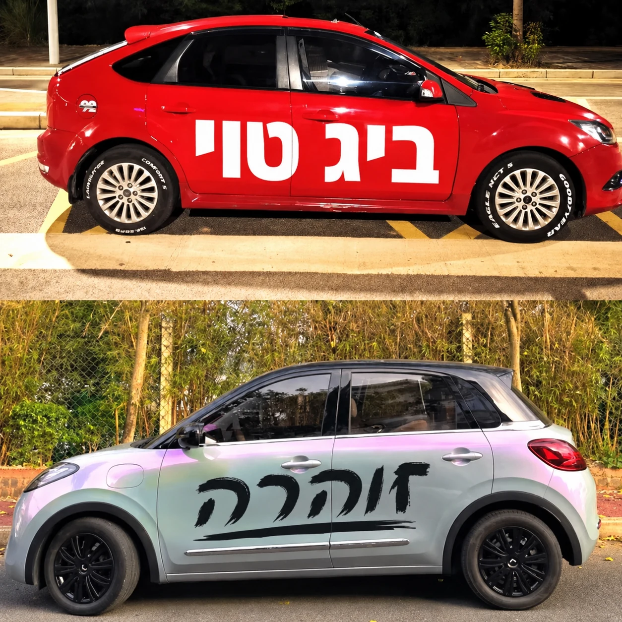 מדבקת ויניל גדולה לצידי רכב — ביג טוי / זוהרה